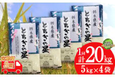 【栃木県共通返礼品・栃木県産】【定期便3回】献上米 特A 受賞 ！とちぎの星 20kg （5kg×4袋） | 白米 精米 お米 こめ 美味しい ブランド米 とちぎ 栃木県共通返礼品 栃木県産 栃木県 特産品