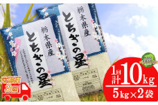 【栃木県共通返礼品・栃木県産】【定期便3回】献上米 特Aを受賞! とちぎの星 10kg （5kg×2袋） | 白米 精米 お米 コメ ブランド米 栃木県 特産品  下野市 送料無料