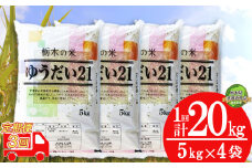 【栃木県共通返礼品・栃木県産】【定期便3回】人気返礼品！コンクールで受賞歴あり ゆうだい21 20kg（5kg×4袋） | 白米 精米 お米 ブランド米 栃木県 特産品 下野市 送料無料
