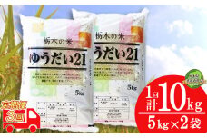 【栃木県共通返礼品・栃木県産】【定期便3回】人気返礼品！コンクールで受賞歴あり ゆうだい21 10kg（5kg×2袋） | 白米 精米 お米 ブランド米 栃木県 特産品 栃木県 下野市 送料無料
