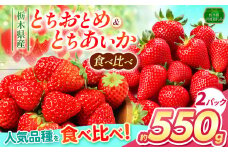 とちあいか・とちおとめ食べ比べ 550g以上（2P） | いちご日本一 ミス苺 応援 農林水産省 最多獲得 秀品 とちおとめ とちあいか 食べ比べ 数量 限定 共通 返礼品 ストロベリー 人気 果物 フルーツ 限定品種  栃木県 特産品 下野市 送料無料
