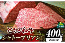 【定期便3回】栃木県共通返礼品 とちぎ和牛シャトーブリアン（ヒレ肉）(200g×2)×3回｜定期便3回 黒毛 和牛 牛肉 焼肉 ステーキ BBQ バーベキュー ブランド和牛 とろける 霜降り 赤身 切り落とし ふるさと 納税 イチオシ おすすめ 栃木県 下野市 しもつけ市