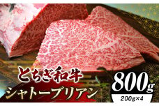 栃木県共通返礼品 とちぎ和牛シャトーブリアン（ヒレ肉）200g×4｜黒毛 和牛 牛肉 焼肉 ブランド和牛 とろける 霜降り 赤身 切り落とし ふるさと 納税 イチオシ おすすめ 栃木県 下野市 しもつけ市