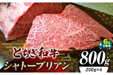 【定期便6回】栃木県共通返礼品 とちぎ和牛シャトーブリアン（ヒレ肉）(200g×4)×6回｜定期便6回 黒毛 和牛 牛肉 焼肉 ステーキ BBQ バーベキュー ブランド和牛 とろける 霜降り 赤身 切り落とし ふるさと 納税 イチオシ おすすめ 栃木県 下野市 しもつけ市