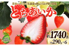 【2026年先行予約】【栃木県共通返礼品】日本一のいちご生産量を誇るJAはが野が厳選とちあいか平パック6P | 送料無料 いちご フルーツ 甘い ジューシー かき氷 苺 ｲﾁｺﾞ ハート ハート型 ﾊｰﾄ 断面 果物 栃木県 下野市