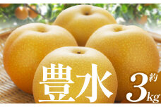 【2025年秋先行予約】 豊水 3kg | 送料無料 栃木県 下野市 梨 幸水 果物 フルーツ デザート