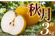 【2025年秋先行予約】 あきづき 3kg | 送料無料 栃木県 下野市 梨 幸水 果物 フルーツ デザート