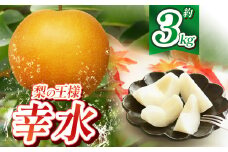 【2025年産】 幸水 3kg | 送料無料 栃木県 下野市 梨 幸水 果物 フルーツ デザート