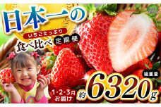 【栃木県共通返礼品】【定期便3回】【先行予約】日本一のいちごたっぷり食べ比べ定期便| 定期便 とちあいか 送料無料 いちご フルーツ 甘い ジューシー かき氷 苺 ｲﾁｺﾞ ハート ハート型 ﾊｰﾄ 断面 果物  栃木県 下野市