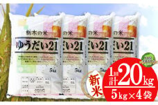 【栃木県共通返礼品】【先行予約】ゆうだい21 20kg（5kg×4袋） | 米 こめ コメ kome 白米 精米 お米 ゆうだい ユウダイ ﾕｳﾀﾞｲ 新米 栃木米 大粒 粘り 甘み お弁当 おにぎり 令和7年度米 令和7年度 2025年度米 2025年度 ブランド米 栃木県 特産品 送料無料 栃木県 下野市 しもつけ市
