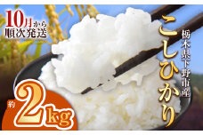 【先行予約】下野市産コシヒカリ 2kg | 米 こめ コメ kome 白米 精米 お米 こしひかり ｺｼﾋｶﾘ 新米 栃木米 令和7年度米 令和7年度 2025年度米 2025年度 ブランド米 栃木県 特産品 送料無料 栃木県 下野市 しもつけ市
