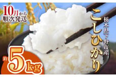 【先行予約】下野市産コシヒカリ 5kg | 米 こめ コメ kome 白米 精米 お米 こしひかり ｺｼﾋｶﾘ 新米 栃木米 令和7年度米 令和7年度 2025年度米 2025年度 ブランド米 栃木県 特産品 送料無料 栃木県 下野市 しもつけ市