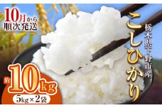 【先行予約】下野市産コシヒカリ 10kg | 米 こめ コメ kome 白米 精米 お米 こしひかり ｺｼﾋｶﾘ 新米 栃木米 令和7年度米 令和7年度 2025年度米 2025年度 ブランド米 栃木県 特産品 送料無料 栃木県 下野市 しもつけ市
