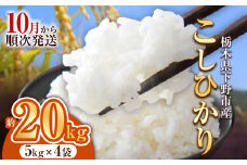 【先行予約】下野市産コシヒカリ 20kg | 米 こめ コメ kome 白米 精米 お米 こしひかり ｺｼﾋｶﾘ 新米 栃木米 令和7年度米 令和7年度 2025年度米 2025年度 ブランド米 栃木県 特産品 送料無料 栃木県 下野市 しもつけ市