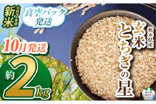 【栃木県共通返礼品】【先行予約】【10月発送】令和7年度新米 栃木県産とちぎの星 2kg | 玄米 精米 お米 コメ とちぎの星 先行予約 ブランド米 栃木県 特産品  下野市 送料無料