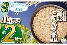 【栃木県共通返礼品】【先行予約】【11月発送】令和7年度新米 栃木県産とちぎの星 2kg | 玄米 精米 お米 コメ とちぎの星 先行予約 ブランド米 栃木県 特産品  下野市 送料無料