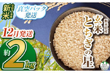 【栃木県共通返礼品】【先行予約】【12月発送】令和7年度新米 栃木県産とちぎの星 2kg | 玄米 精米 お米 コメ とちぎの星 先行予約 ブランド米 栃木県 特産品  下野市 送料無料