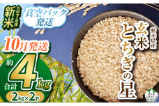 【栃木県共通返礼品】【先行予約】【10月発送】令和7年度新米 栃木県産とちぎの星 2kg×2 | 玄米 精米 お米 コメ とちぎの星 先行予約 ブランド米 栃木県 特産品  下野市 送料無料