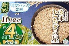 【栃木県共通返礼品】【先行予約】【11月発送】令和7年度新米 栃木県産とちぎの星 2kg×2 | 玄米 精米 お米 コメ とちぎの星 先行予約 ブランド米 栃木県 特産品  下野市 送料無料