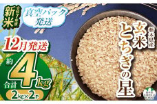 【栃木県共通返礼品】【先行予約】【12月発送】令和7年度新米 栃木県産とちぎの星 2kg×2 | 玄米 精米 お米 コメ とちぎの星 先行予約 ブランド米 栃木県 特産品  下野市 送料無料