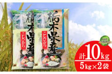 【数量限定】令和6年米 栃木県産こしひかり 10kg（5kg×2袋）| コシヒカリ 白米 精米 お米 米 ブランド米 栃木県共通返礼品 栃木県 下野市 送料無料