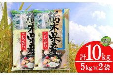 【数量限定】令和6年米 栃木県産こしひかり 10kg（5kg×2袋）| コシヒカリ 白米 精米 お米 米 ブランド米 栃木県共通返礼品 栃木県 下野市 送料無料