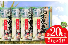 【数量限定】令和6年米 栃木県産こしひかり 10kg（5kg×2袋）| コシヒカリ 白米 精米 お米 米 ブランド米 栃木県共通返礼品 栃木県 下野市 送料無料