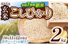 【栃木県共通返礼品】【先行予約】【11月発送】【数量限定】令和7年度新米 栃木県産こしひかり（玄米真空パック） 2kg  | 玄米 精米 お米 コメ こしひかり 先行予約 ブランド米 栃木県 特産品  下野市 送料無料