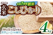 【栃木県共通返礼品】【先行予約】【12月発送】【数量限定】令和7年度新米 栃木県産こしひかり（玄米真空パック） 2kg×2  | 玄米 精米 お米 コメ こしひかり 先行予約 ブランド米 栃木県 特産品  下野市 送料無料