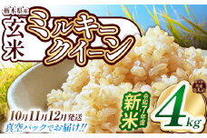 【栃木県共通返礼品】【先行予約】【10月発送】【数量限定】令和7年度新米 栃木県産ミルキークイーン（玄米真空パック） 2kg×2  | 玄米 精米 お米 コメ ミルキークイーン 先行予約 ブランド米 栃木県 特産品  下野市 送料無料