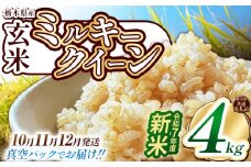 【栃木県共通返礼品】【先行予約】【11月発送】【数量限定】令和7年度新米 栃木県産ミルキークイーン（玄米真空パック） 2kg×2  | 玄米 精米 お米 コメ ミルキークイーン 先行予約 ブランド米 栃木県 特産品  下野市 送料無料