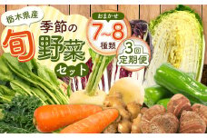 【定期便３回】季節の旬野菜おまかせセット 7～8品目 | 定期便 農薬不使用 化学肥料不使用 珍しい 栃木県 下野市