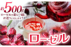 ローゼル(ローゼルの葉同梱) 500g | ローゼル 農薬不使用 化学肥料不使用 珍しい 栃木県 特産品