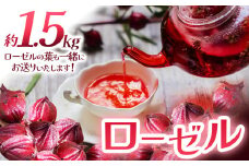 ローゼル(ローゼルの葉同梱) 1.5kg | ローゼル 農薬不使用 化学肥料不使用 珍しい 栃木県 特産品