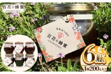 日本ミツバチの百花蜂蜜（6瓶） ／ ハチミツ はちみつ ミツバチ 純度100％国産 無添加 栃木県
