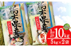 【先行予約】【11月発送】コシヒカリ10kg（5kg×2袋）【栃木県共通返礼品】 | 米 こめ コメ kome 白米 精米 お米 こしひかり ｺｼﾋｶﾘ 新米 栃木米 令和7年度米 令和7年度 2025年度米 2025年度 ブランド米 栃木県 特産品 送料無料 栃木県 下野市 しもつけ市