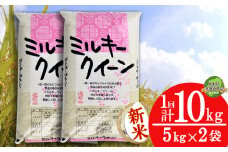 【栃木県共通返礼品】【先行予約】【12月発送】ミルキークイーン 10kg（5kg×2袋） | 米 こめ コメ kome 白米 精米 お米 みるきー みるきーくいーん ﾐﾙｷｰｸｲｰﾝ Milky queen ミルキークウィーン  モチモチ ふっくら もち米風 炊き込み 新米 栃木米 令和7年度米 令和7年度 2025年度米 ブランド米 栃木県 特産品 送料無料 栃木県 下野市 しもつけ市