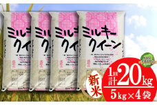 【栃木県共通返礼品】【先行予約】【12月発送】ミルキークイーン 20kg（5kg×4袋）| 米 こめ コメ kome 白米 精米 お米  みるきーくいーん ﾐﾙｷｰｸｲｰﾝ Milky queen ミルキークイーン もちもち モチモチ ふっくら もち米風 炊き込み 新米 栃木米 令和7年度米 令和7年度 2025年度米 2025年度 ブランド米 栃木県 特産品 送料無料 栃木県 下野市 しもつけ市