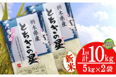 【栃木県共通返礼品】【先行予約】【10月発送】とちぎの星 10kg（5kg×2袋） | 米 こめ コメ kome 白米 精米 お米 とちぎのほし トチギノホシ ﾄﾁｷﾞﾉﾎｼ 粘り 弾力 冷めても美味しい 丼もの カレー 新米 栃木米 令和7年度米 令和7年度 2025年度米 2025年度 ブランド米 栃木県 特産品 送料無料 栃木県 下野市 しもつけ市