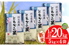 【栃木県共通返礼品】【先行予約】【12月発送】とちぎの星 20kg（5kg×4袋） | 米 こめ コメ kome 白米 精米 お米 とちぎのほし トチギノホシ ﾄﾁｷﾞﾉﾎｼ 粘り 弾力 冷めても美味しい 丼もの カレー 新米 栃木米 令和7年度米 令和7年度 2025年度米 2025年度 ブランド米 栃木県 特産品 送料無料 栃木県 下野市 しもつけ市