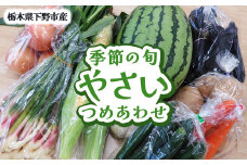 下野市産 季節の旬野菜詰め合わせ | 旬野菜 詰め合わせ 野菜セット 地元野菜 栃木県産 新鮮野菜 産地直送 野菜通販 無農薬野菜 季節野菜 朝採れ野菜 地場野菜 お取り寄せ 下野市野菜 野菜詰合せ 有機野菜 地元農家 栃木野菜 栃木県 下野市