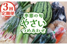 【定期便3回】下野市産 季節の旬野菜詰め合わせ | 定期便 旬野菜 詰め合わせ 野菜セット 地元野菜 栃木県産 新鮮野菜 産地直送 野菜通販 無農薬野菜 季節野菜 朝採れ野菜 地場野菜 お取り寄せ 下野市野菜 野菜詰合せ 有機野菜 地元農家 栃木野菜 栃木県 下野市