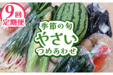 【定期便9回】下野市産 季節の旬野菜詰め合わせ | 定期便 旬野菜 詰め合わせ 野菜セット 地元野菜 栃木県産 新鮮野菜 産地直送 野菜通販 無農薬野菜 季節野菜 朝採れ野菜 地場野菜 お取り寄せ 下野市野菜 野菜詰合せ 有機野菜 地元農家 栃木野菜 栃木県 下野市