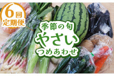 【定期便6回】下野市産 季節の旬野菜詰め合わせ | 定期便 旬野菜 詰め合わせ 野菜セット 地元野菜 栃木県産 新鮮野菜 産地直送 野菜通販 無農薬野菜 季節野菜 朝採れ野菜 地場野菜 お取り寄せ 下野市野菜 野菜詰合せ 有機野菜 地元農家 栃木野菜 栃木県 下野市