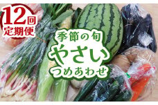 【定期便12回】下野市産 季節の旬野菜詰め合わせ | 定期便 旬野菜 詰め合わせ 野菜セット 地元野菜 栃木県産 新鮮野菜 産地直送 野菜通販 無農薬野菜 季節野菜 朝採れ野菜 地場野菜 お取り寄せ 下野市野菜 野菜詰合せ 有機野菜 地元農家 栃木野菜 栃木県 下野市