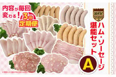 【定期便3回】ハム・ソーセージ堪能セットA | 肉 豚肉 豚 加工 加工肉 ハム ソーセージ ギフト セット 手作り 低添加 栃木県 特産品