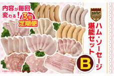 【定期便3回】ハム・ソーセージ堪能セットB | 肉 豚肉 豚 加工 加工肉 ハム ソーセージ ギフト セット 手作り 低添加 栃木県 特産品