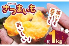 【先行予約】下野市産さつまいも 1kg  | さつまいも 芋 さつまいもご飯 炊き込みご飯 スイートポテト 大学芋 栗きんとん 秋 さつまいも 秋の味覚 栃木県 下野市 しもつけ市