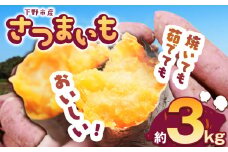 【先行予約】下野市産さつまいも 3kg  | さつまいも 芋 さつまいもご飯 炊き込みご飯 スイートポテト 大学芋 栗きんとん 秋 さつまいも 秋の味覚 栃木県 下野市 しもつけ市