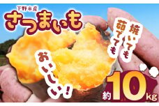 【先行予約】下野市産さつまいも 10kg  | さつまいも 芋 さつまいもご飯 炊き込みご飯 スイートポテト 大学芋 栗きんとん 秋 さつまいも 秋の味覚 栃木県 下野市 しもつけ市
